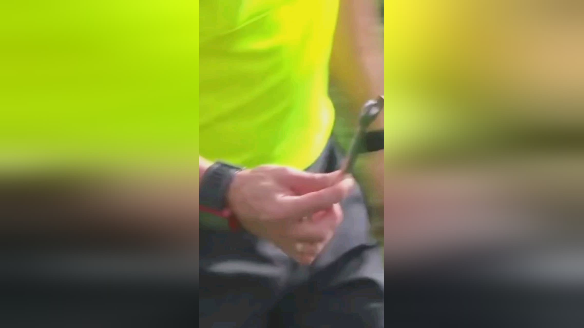 脚步力
